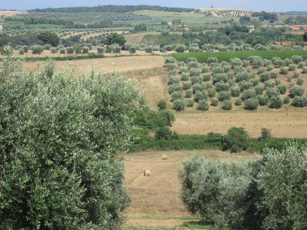 Agriturismo La Carlina Villa Magliano in Toscana Exterior foto